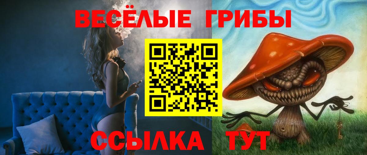 Галлюциногенные грибы ЛСД  Псилоцибиновые грибы Psilocybe  как найти закладки  Вход с VPN  Краснознаменск 